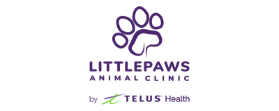 Little Paws Animal Clinic