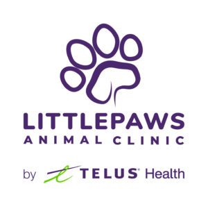 Little Paws Animal Clinic