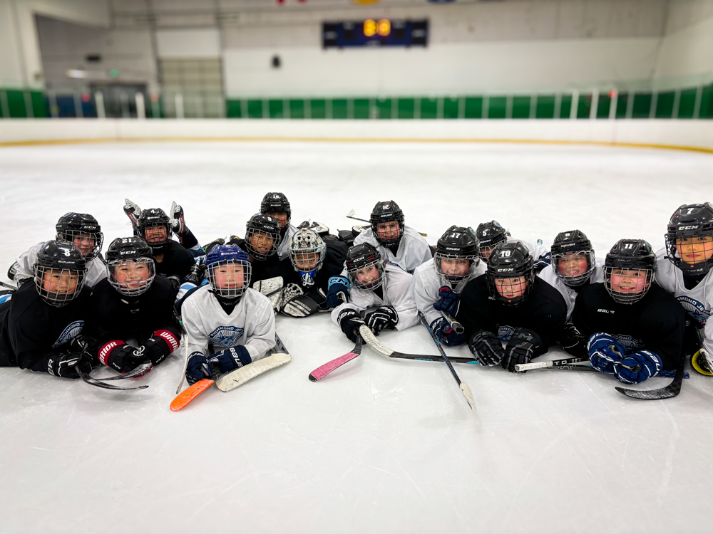 2025 Richmond Jets U11 A1 Team